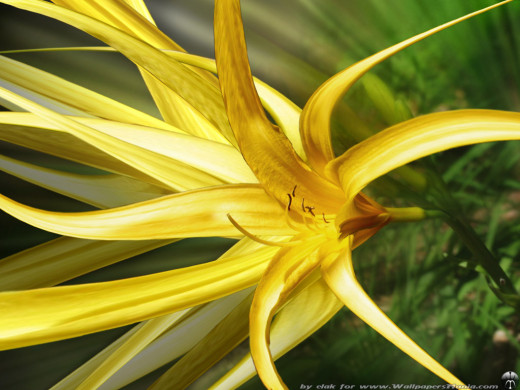 421931 (a): :1024x768